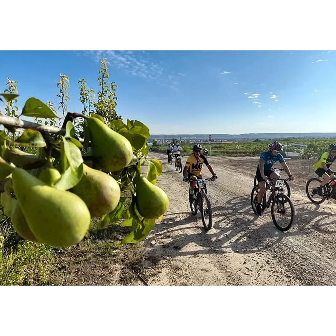 🚴 XVIII Travesía BTT La Pera en Rincón de Soto