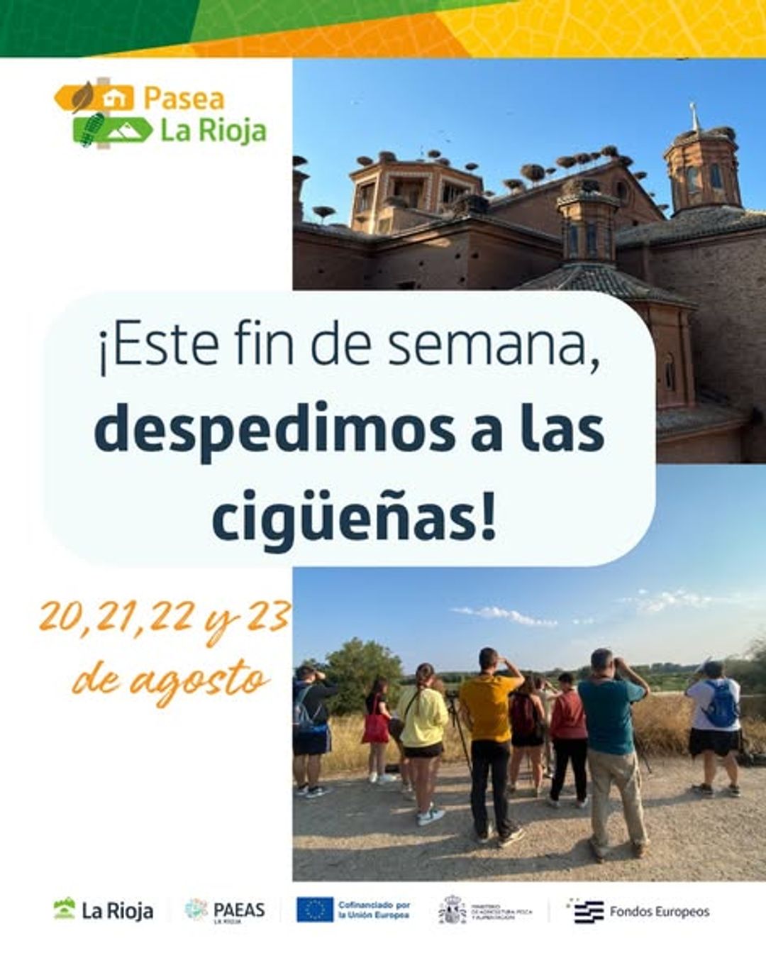 Despedida a las cigüeñas: ¡Buen vuelo! Cuidaremos vuestra casa