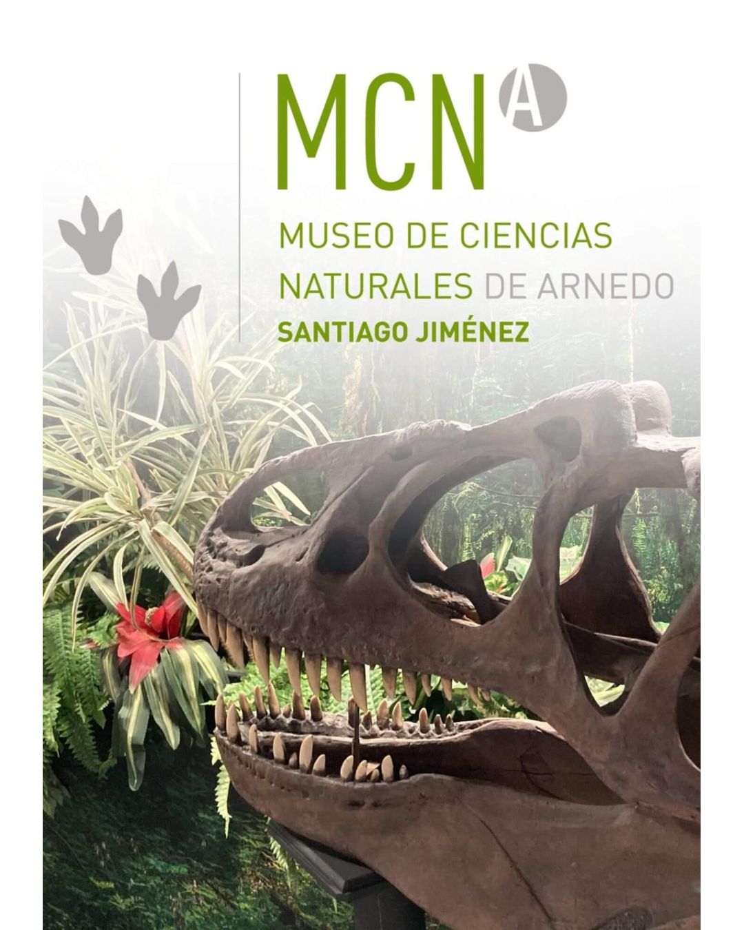 Día Internacional de los Museos: En Busca del Diente Perdido