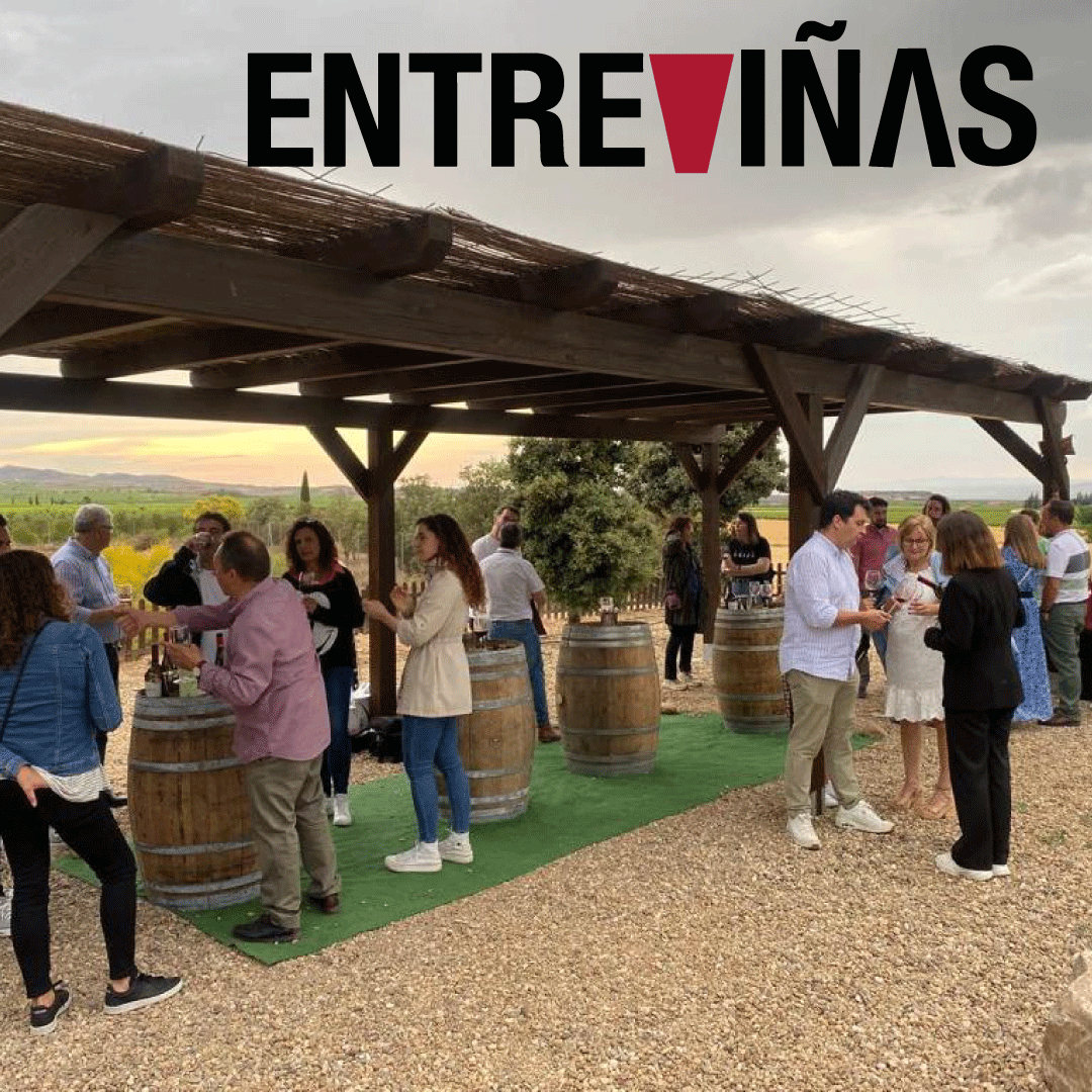 Entre Viñas: Cata de vinos y tapeo en Bodega Ontañón