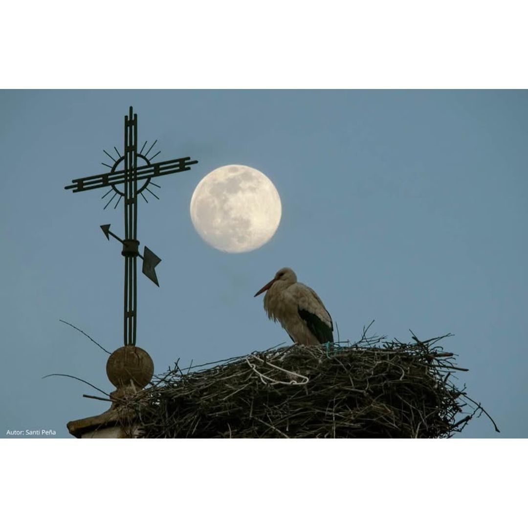 Concurso Fotográfico de Turismo de Naturaleza ‘Ciudad de Calahorra’