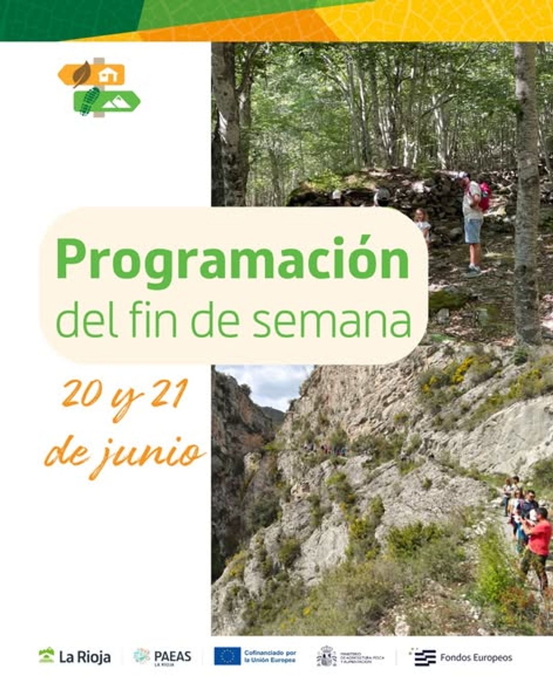 Mini ruta interpretativa: un paseo entre cigüeñas